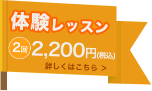 お試しレッスン